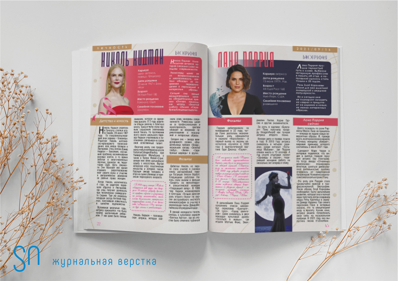 Портфолио