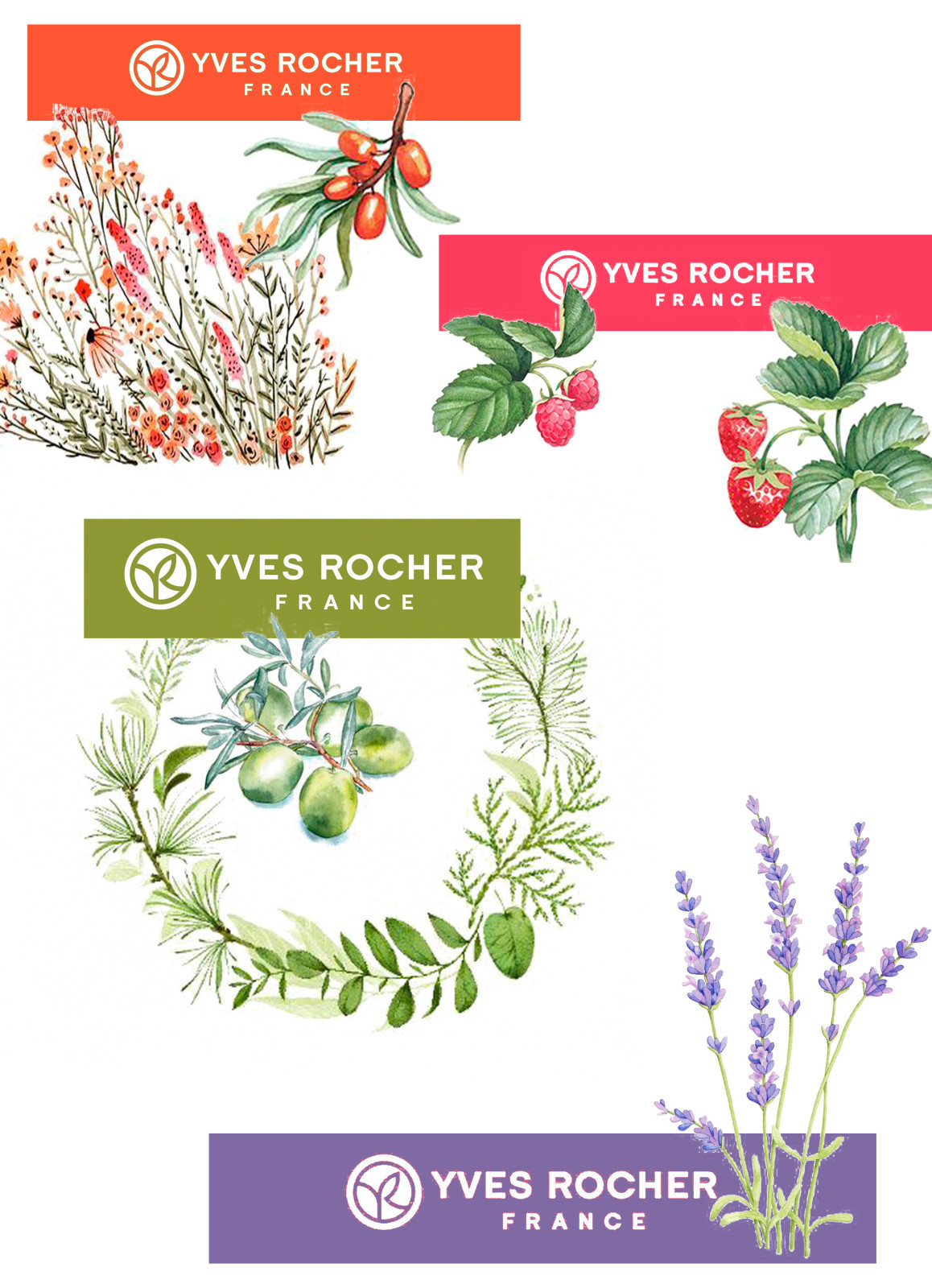 Оформление витрины для магазина "yves rocher"