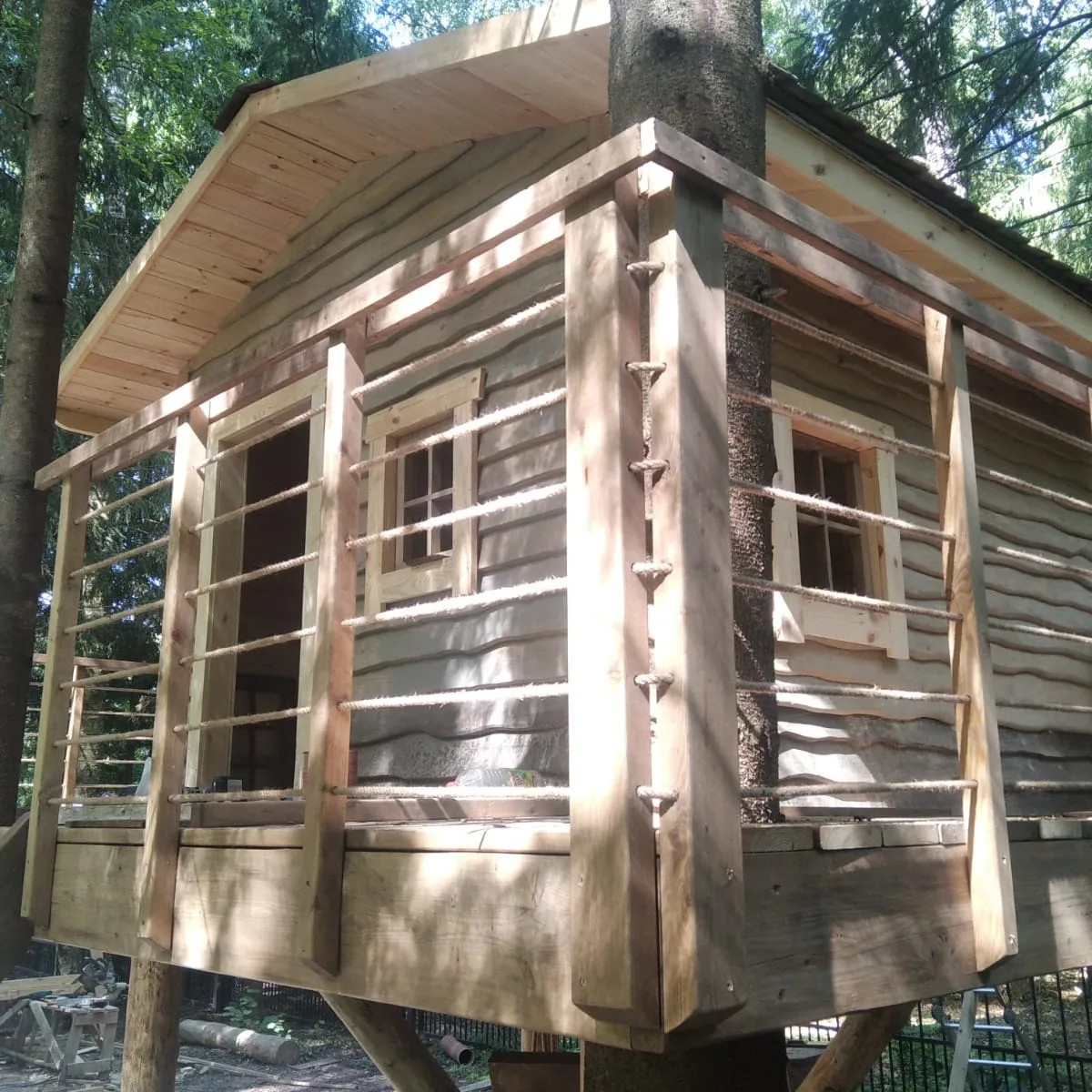 Домик на дереве в лесу