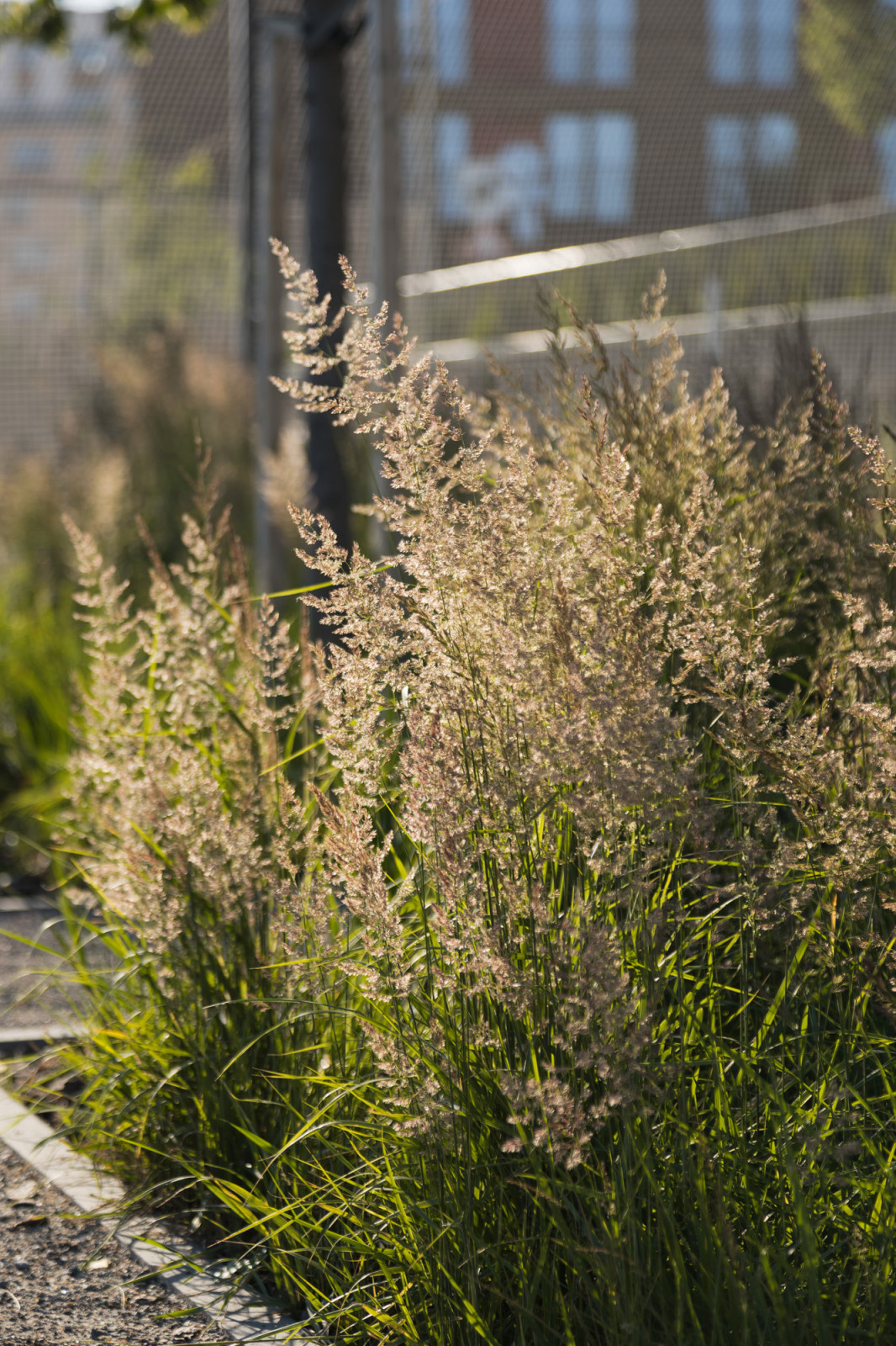 Обложка проекта: Набережная Европейский берег