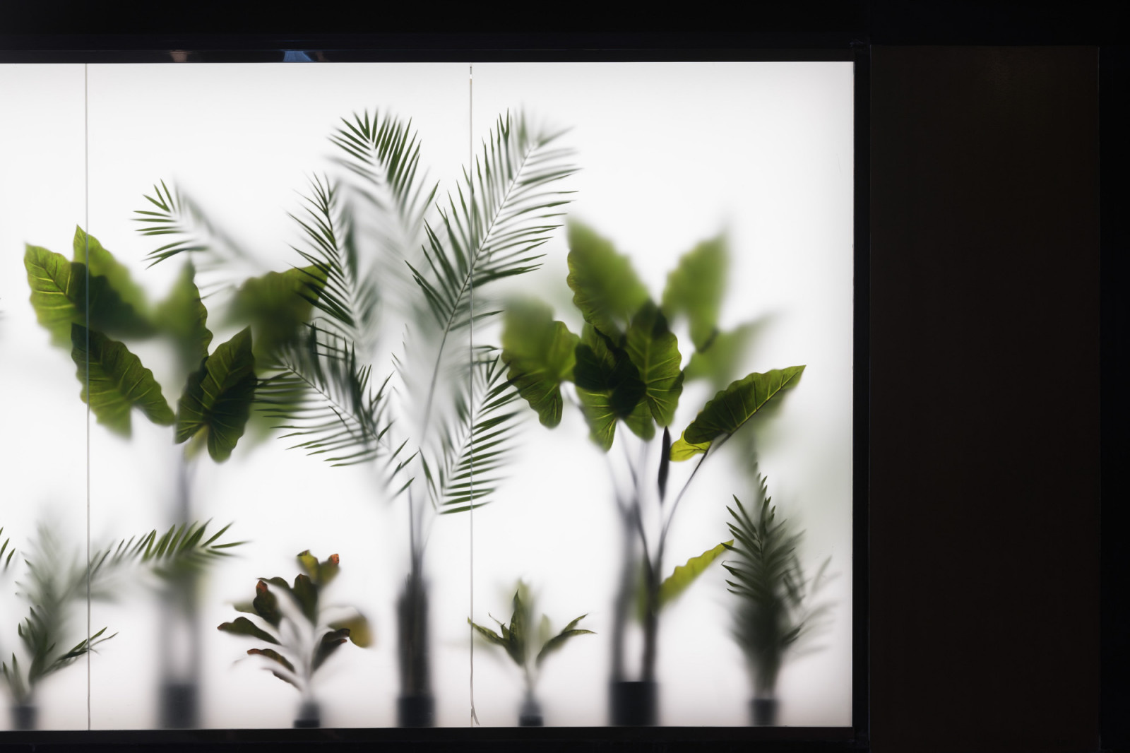 Подземный паркинг