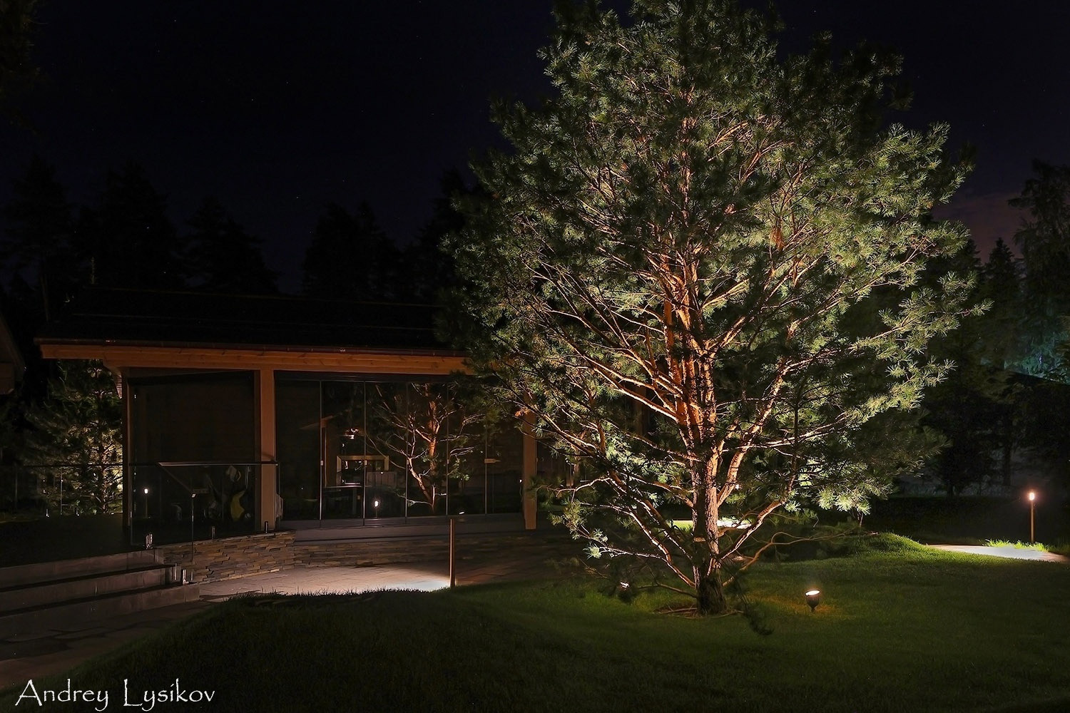 Ночная съемка ландшафтного освещения