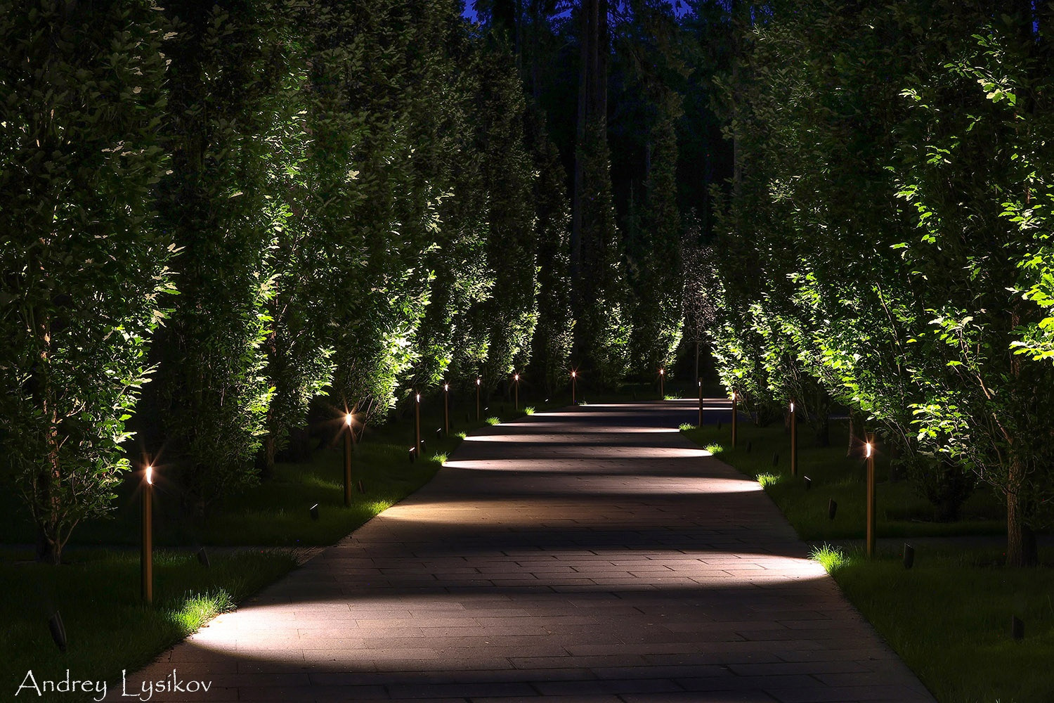 Ночная съемка ландшафтного освещения от компании Альтрейн