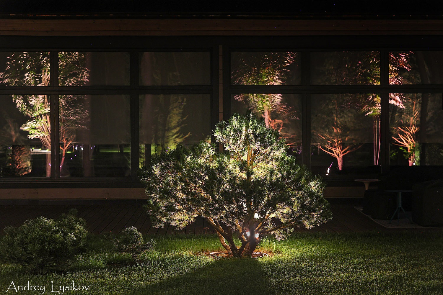 Ночная съемка ландшафтного освещения