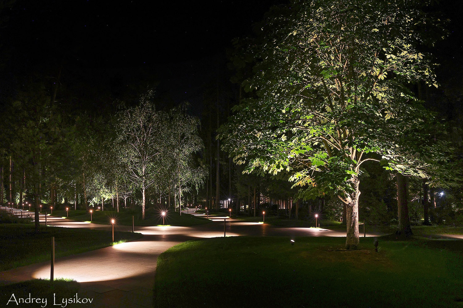 Ночная съемка ландшафтного освещения