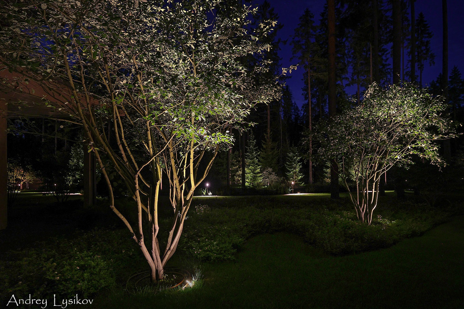 Ночная съемка ландшафтного освещения