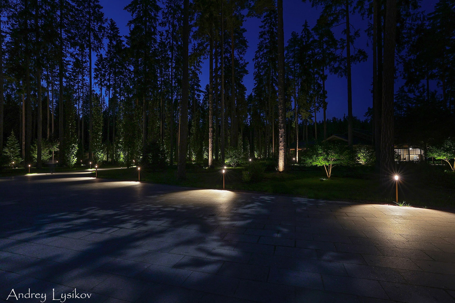 Ночная съемка ландшафтного освещения