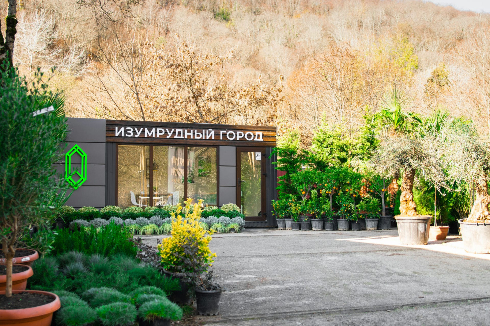 Наш питомник растений на мацесте