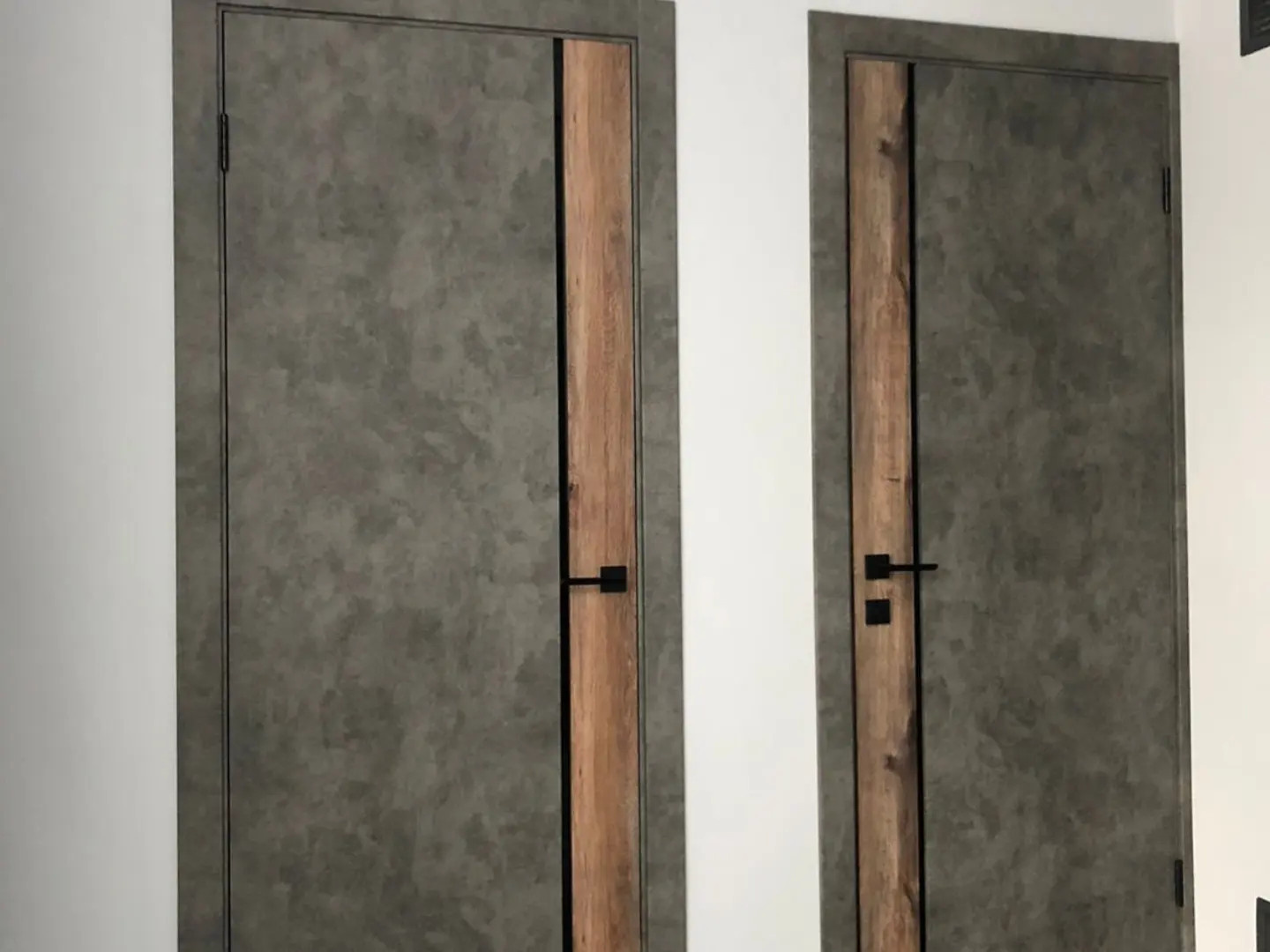 Двери по индивидуальному заказу в стиле LOFT