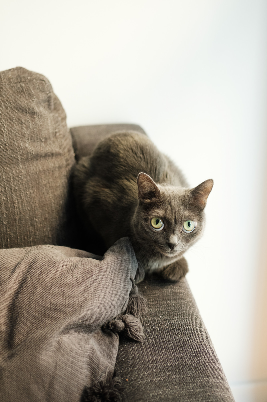 небольшая квартира с детской