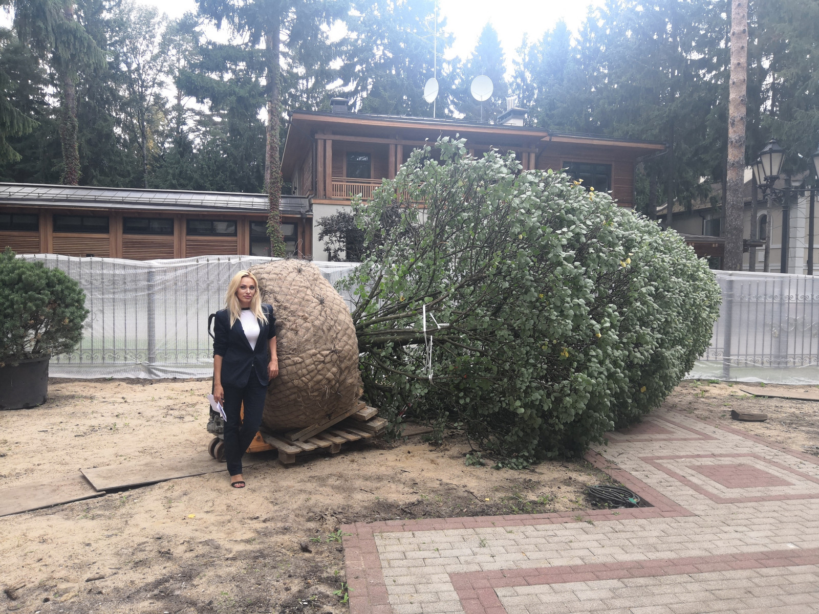 Landscape design of the territory (Moscow region, Sherwood village)