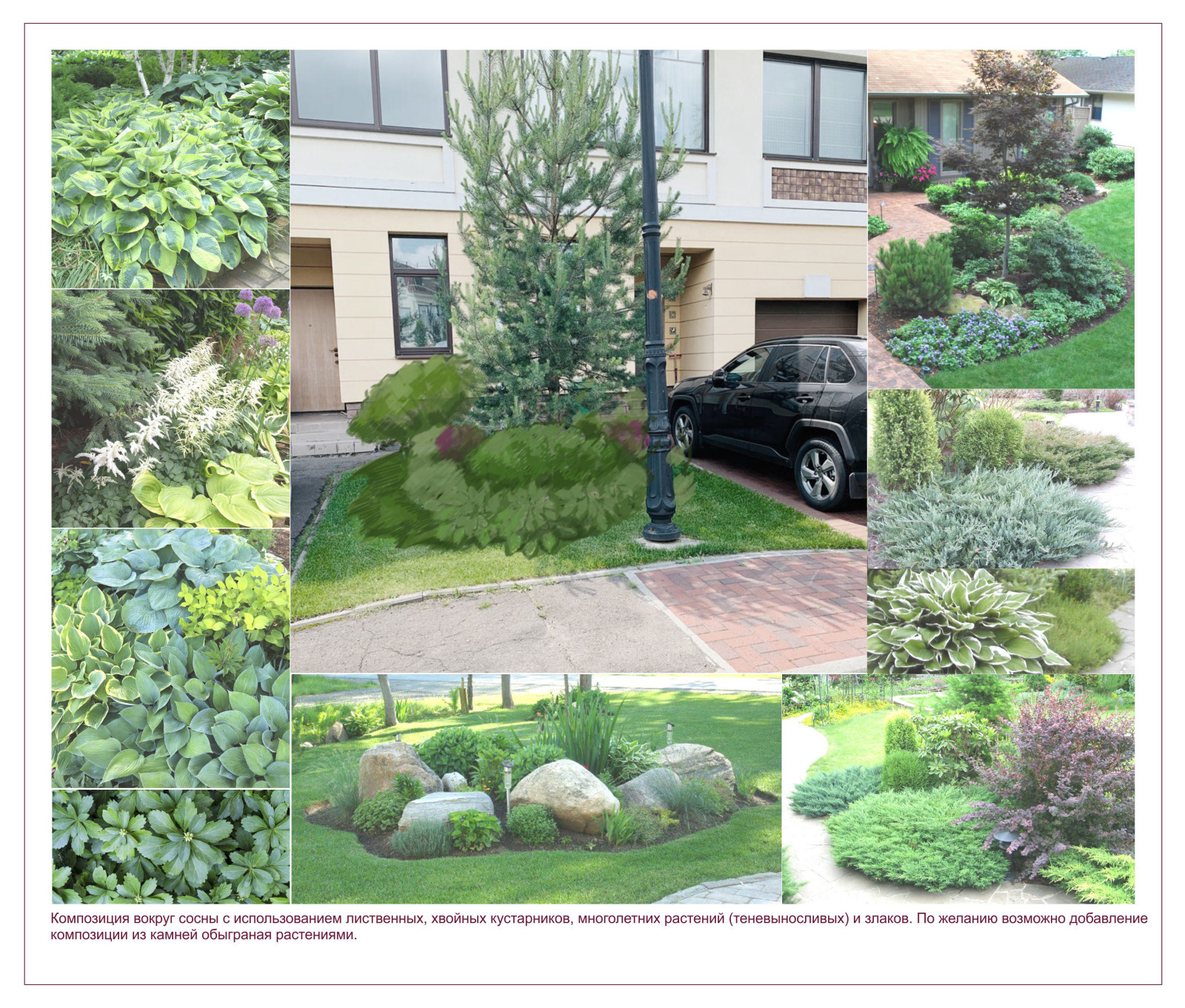 Perspective views (landscaping)