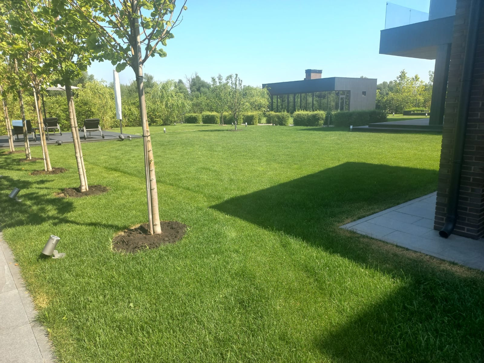 Landscape design of the territory (Voronezh region)