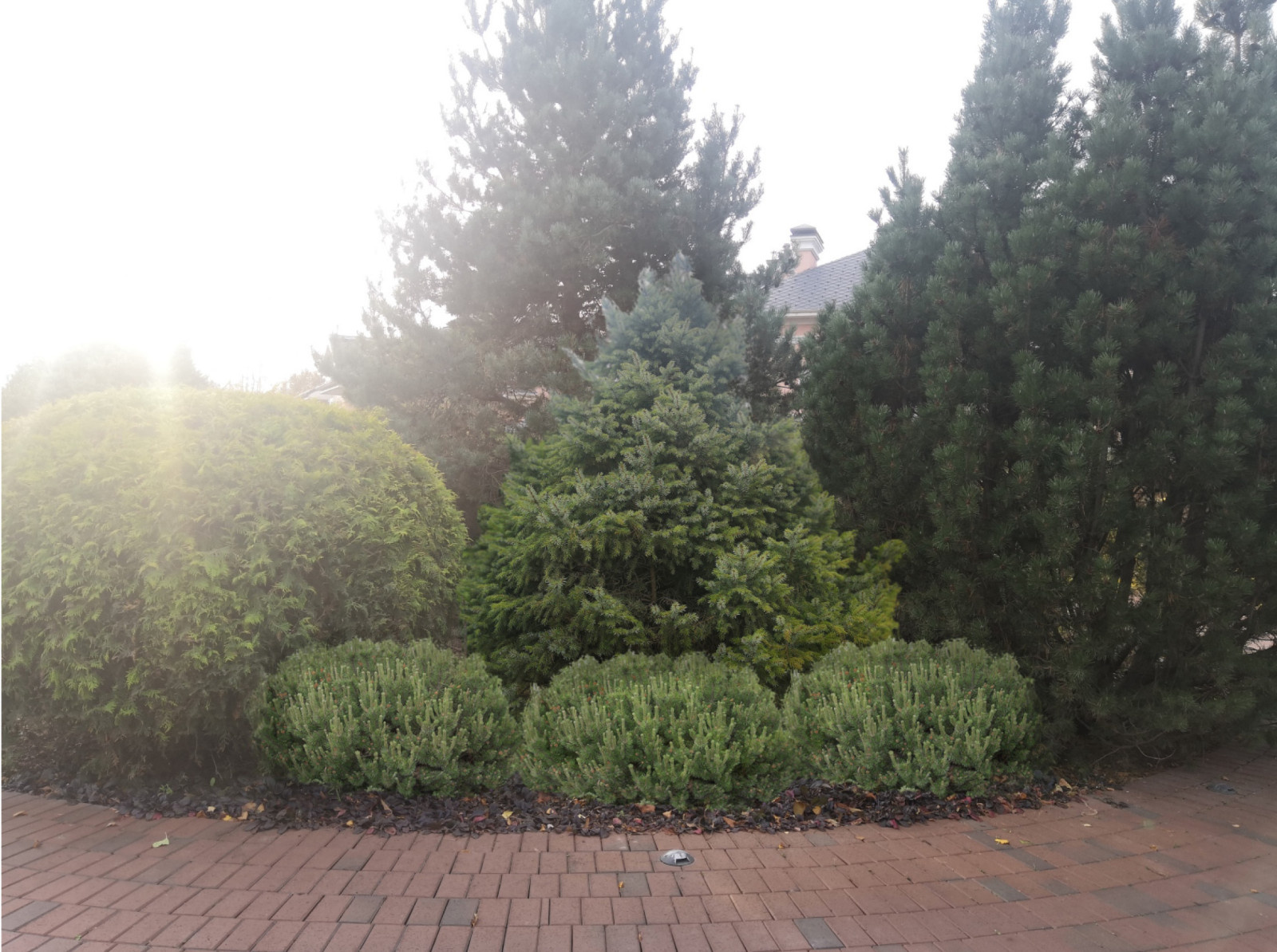 Perspective views (landscaping)