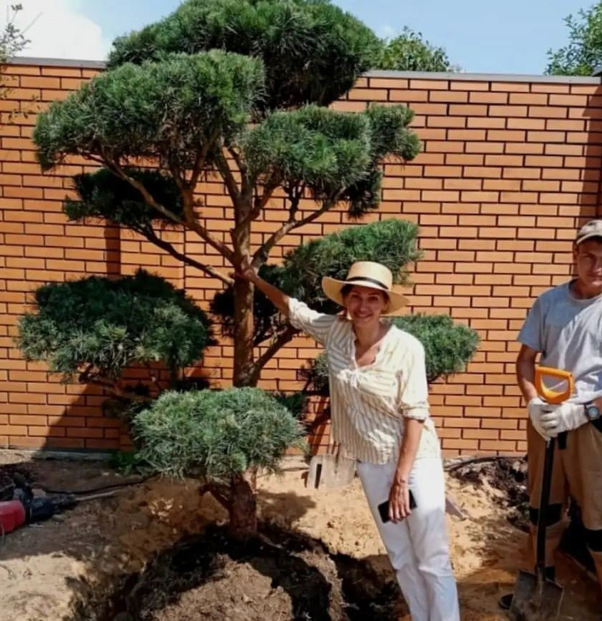 Landscape design of the territory. Japanese style (Moscow region)