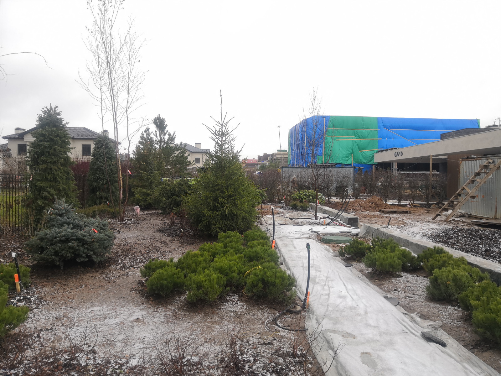 Landscape design of the territory (Moscow region)