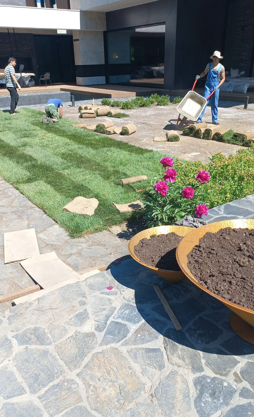 Landscape design of the territory (Moscow region)