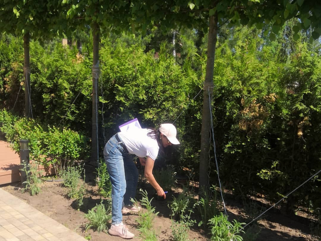 Landscape design of the territory (Moscow region)