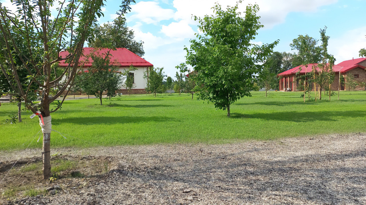 Landscape design of the territory (Moscow region 2022)
