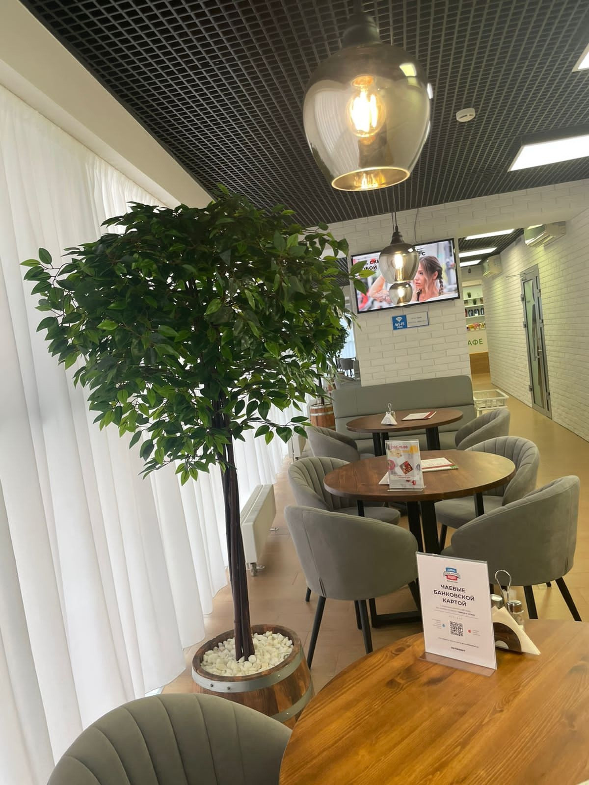 Деревья (*штамб) для фитнес-центра "Пул энд Жим"