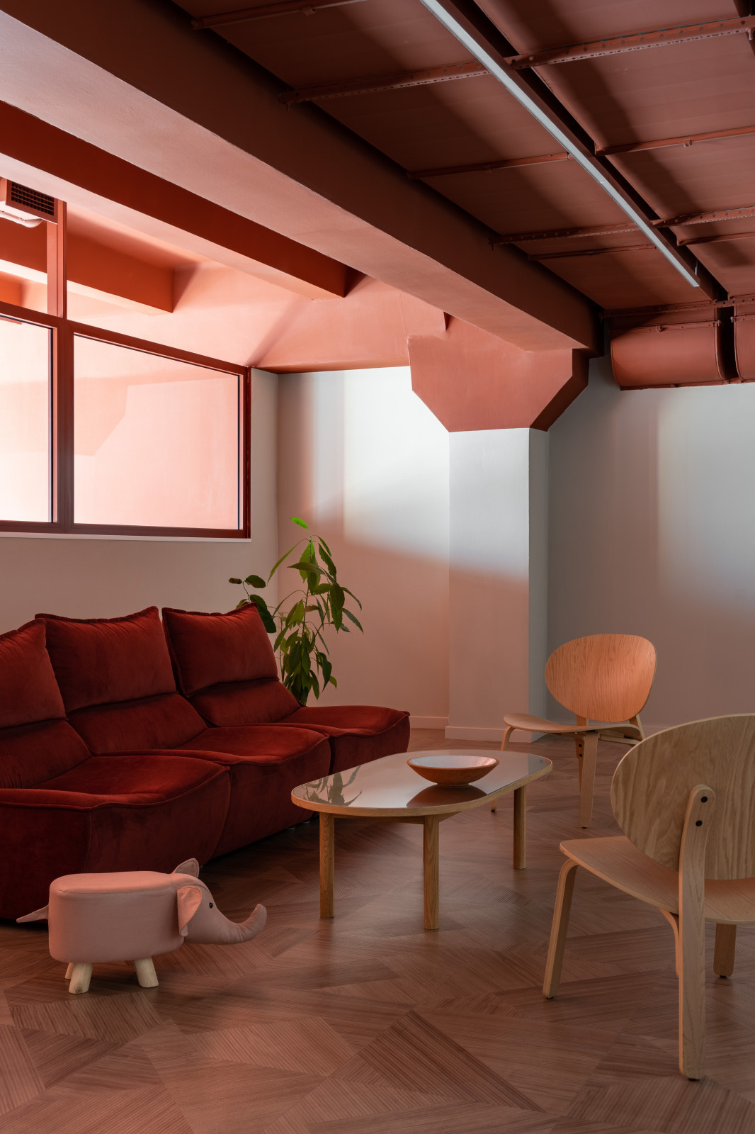 Семейный клуб на Петроградской