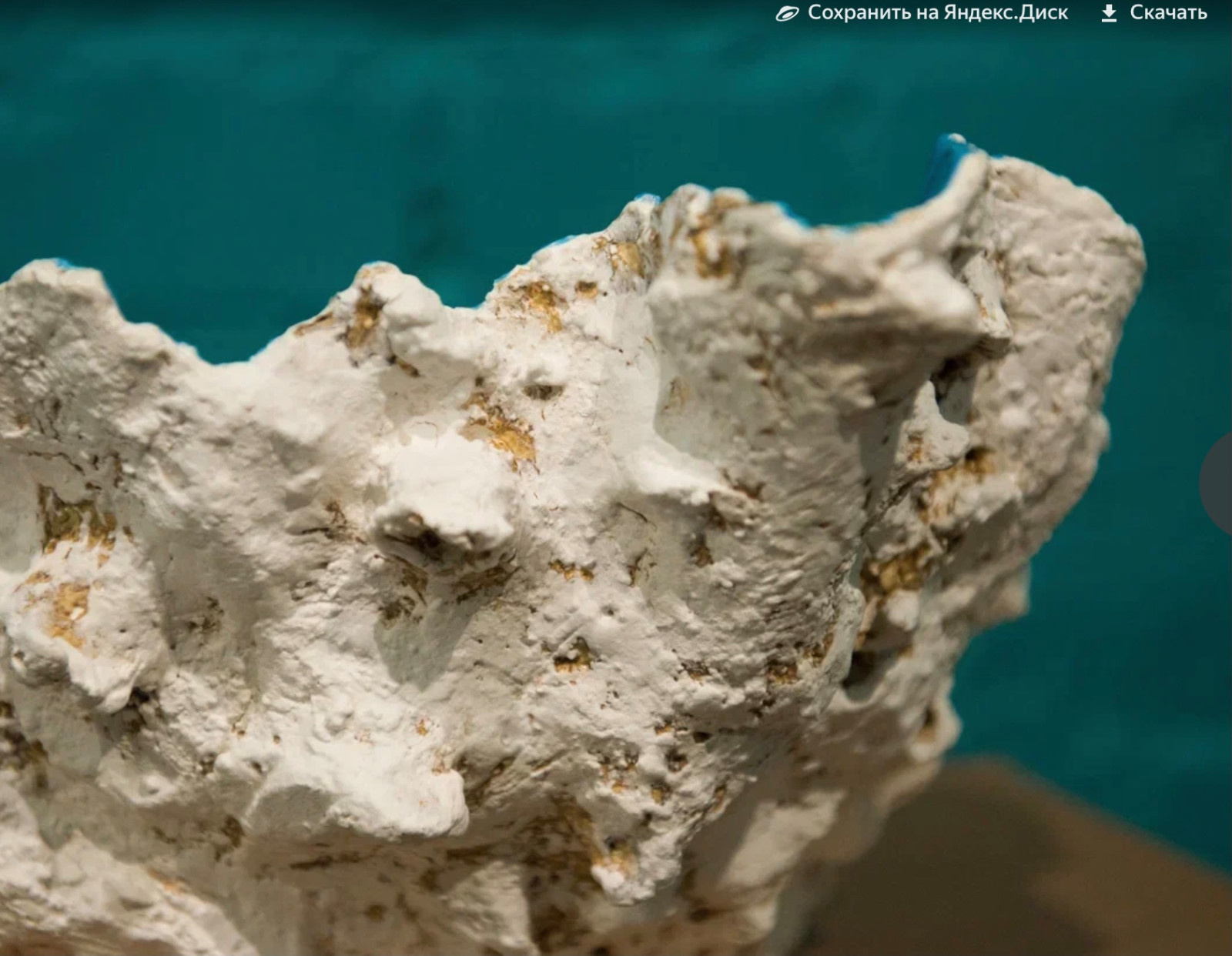 Природа и геометрия