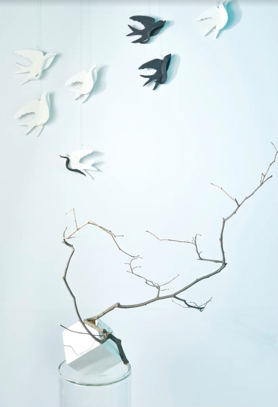 Природа и геометрия