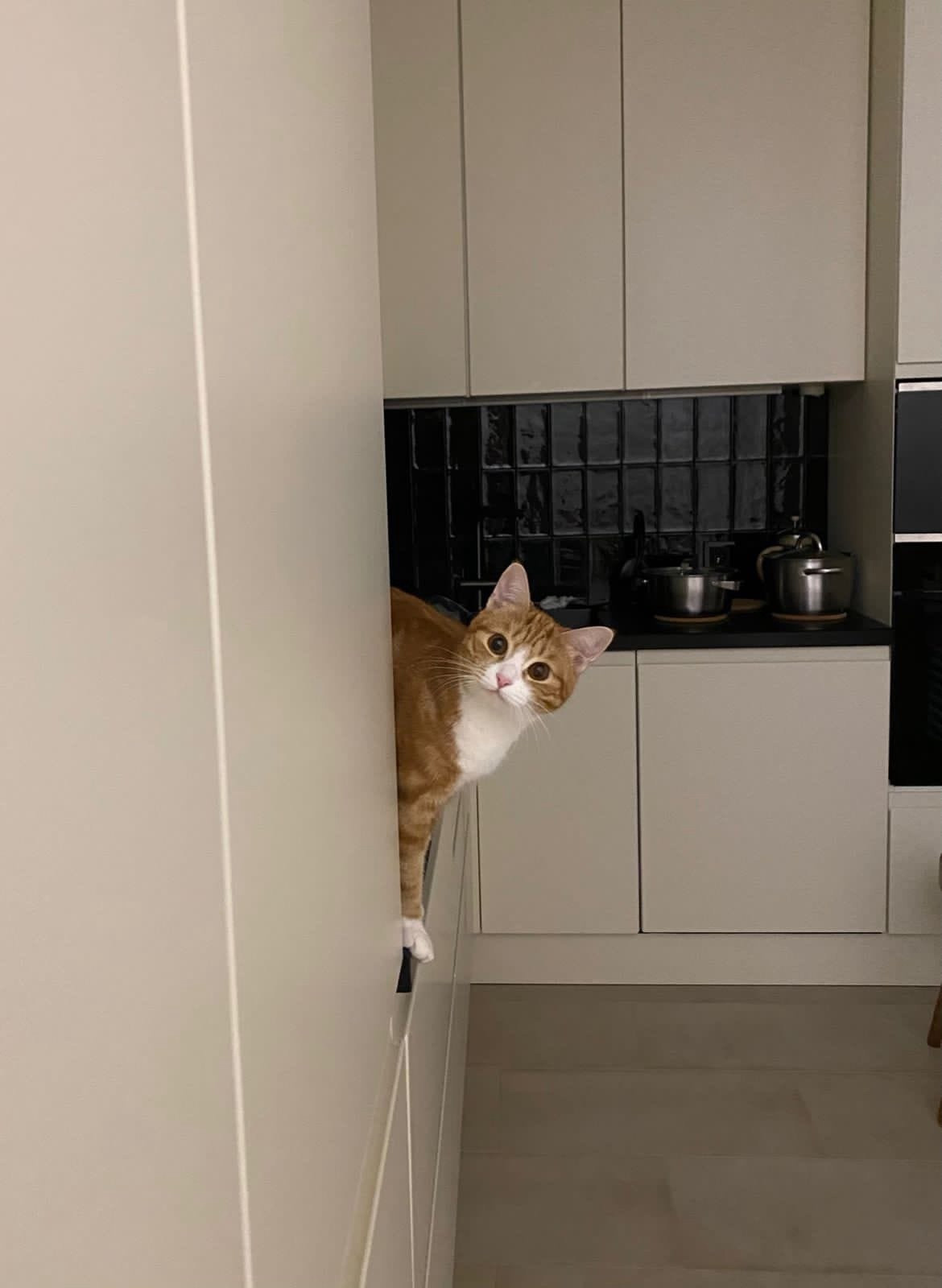 Сталинка на Смоленской