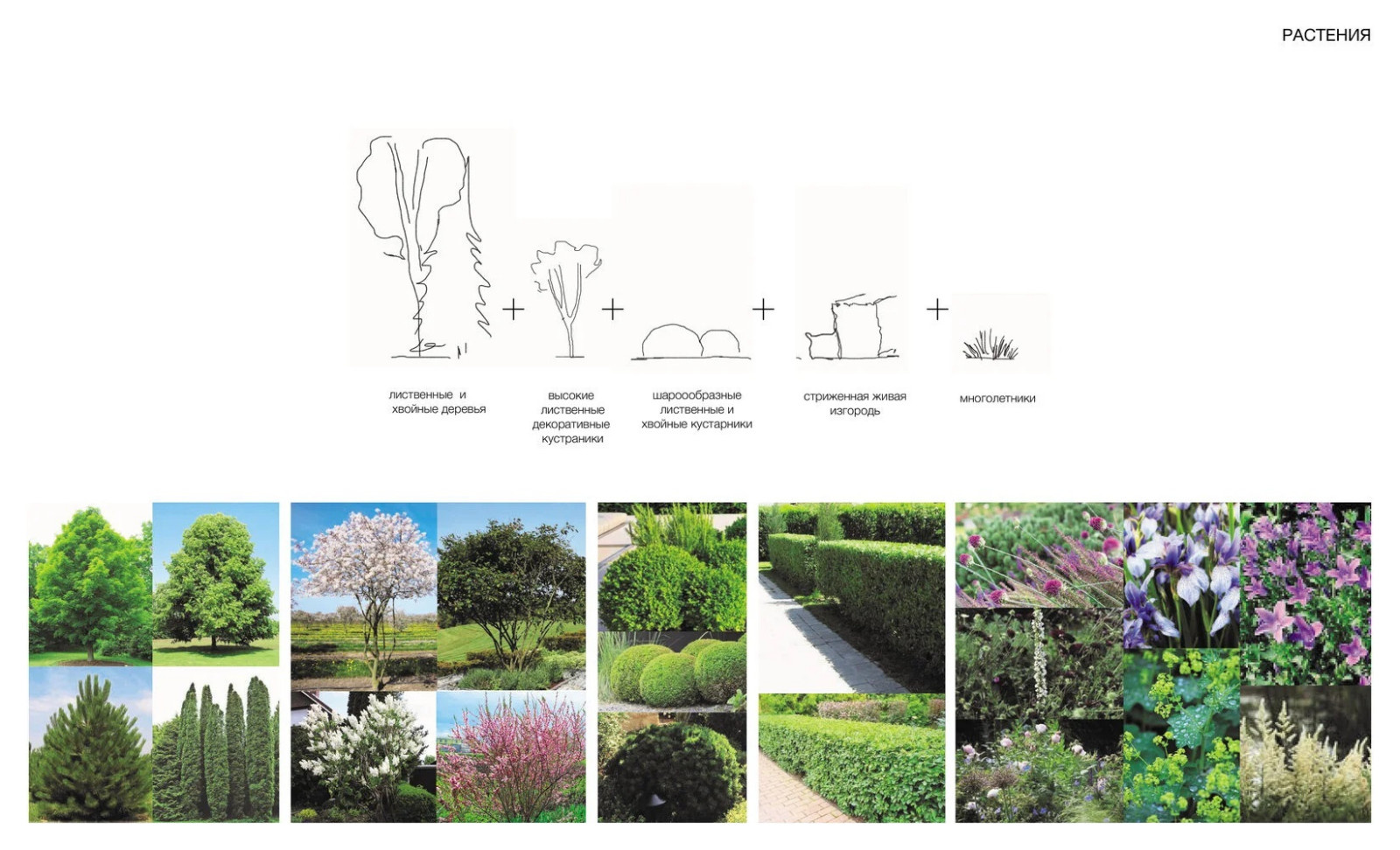 Ландшафтная концепция. Подмосковье. 2021