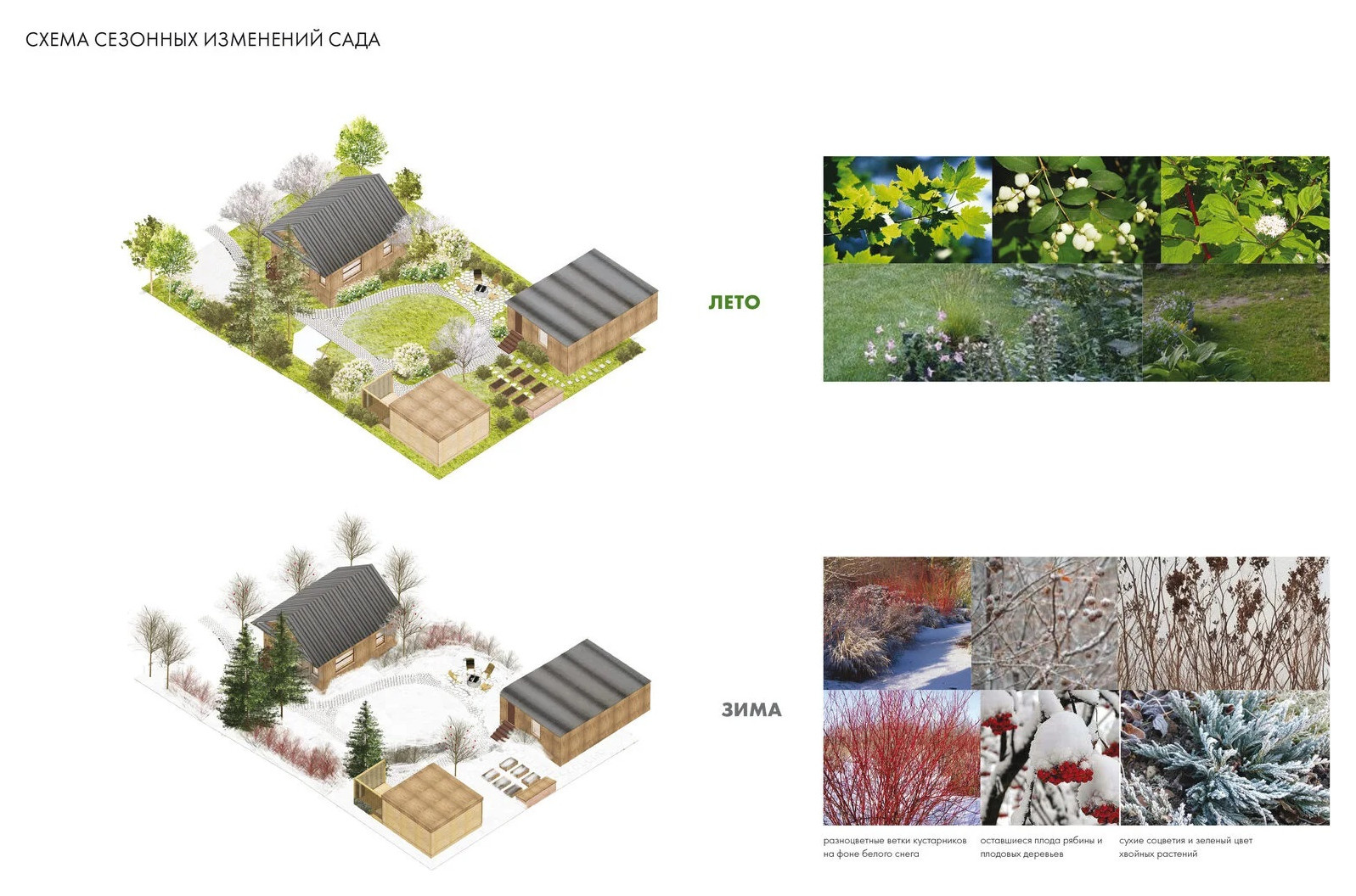 Ландшафтная концепция дачного участка. Полесье