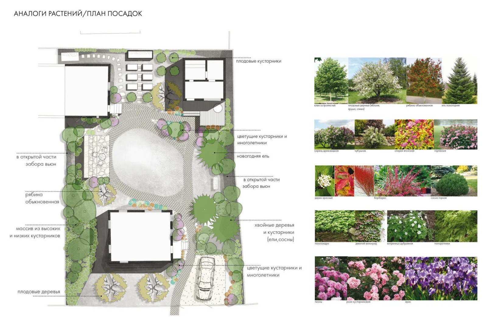 Ландшафтная концепция дачного участка. Полесье