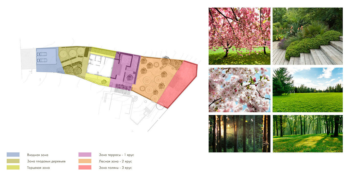 Ландшафтная концепция частного сада. Немчиновка