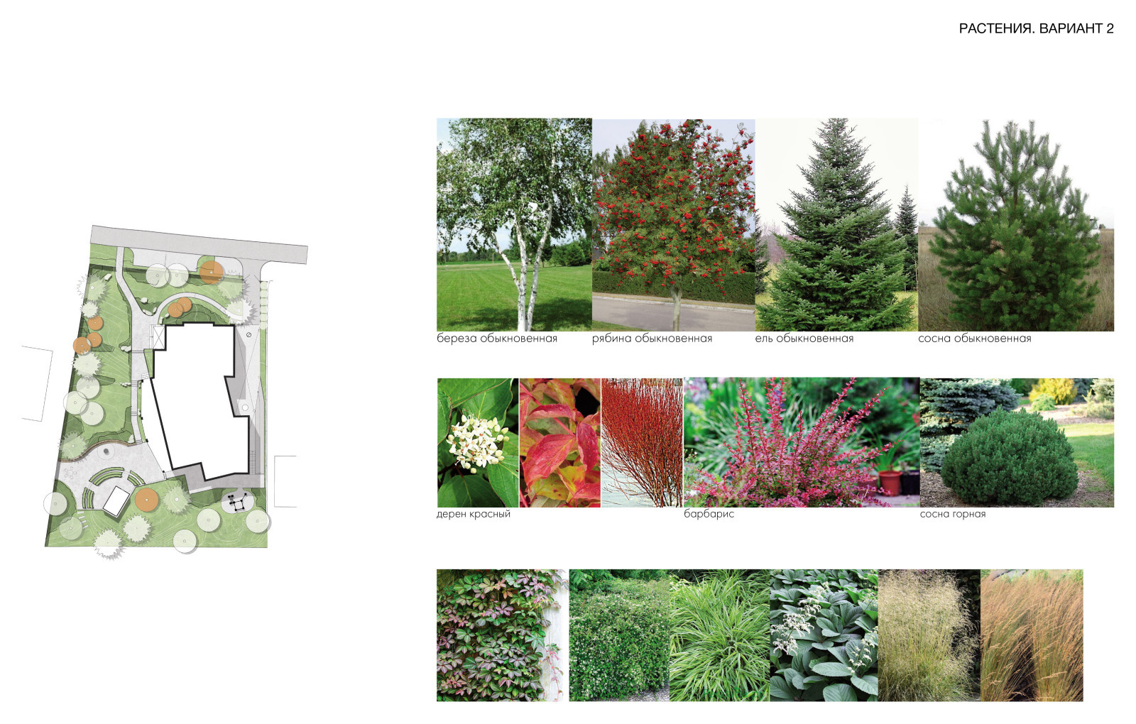 Планировочная концепция дачного участка в Салтыковке