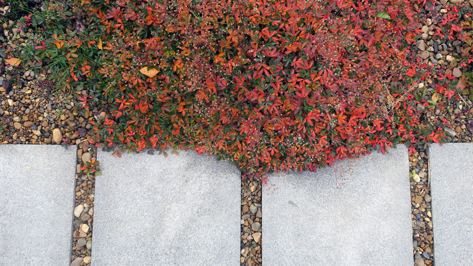 Руст и поперечно исчерченная дорожка