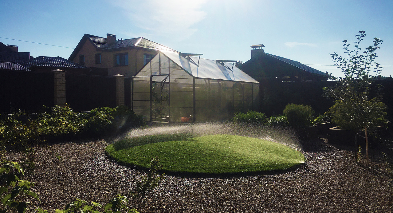 Элимус песчаный в плетеных корзинах и другие сизоватые и серебристые растения