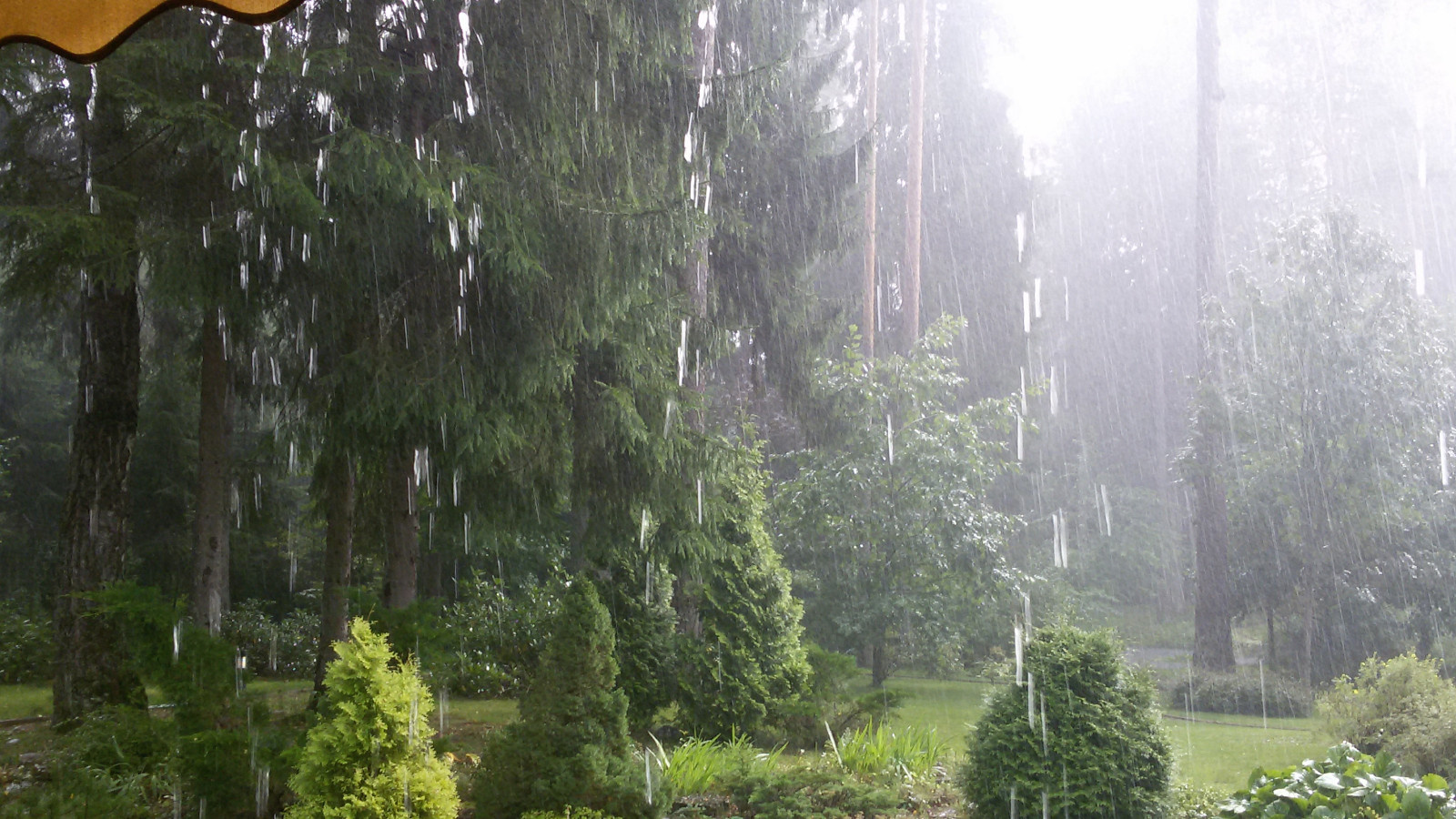 Романтический сад в пейзажном стиле