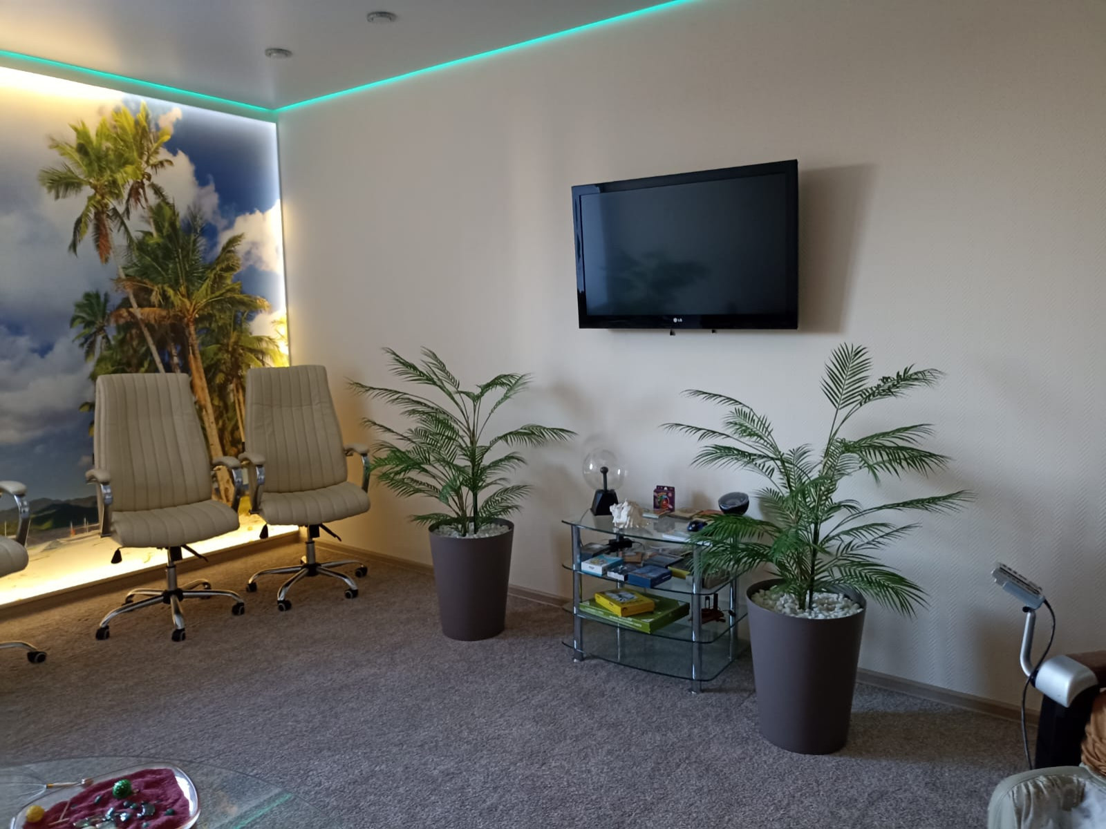 Растения для офисного пространства