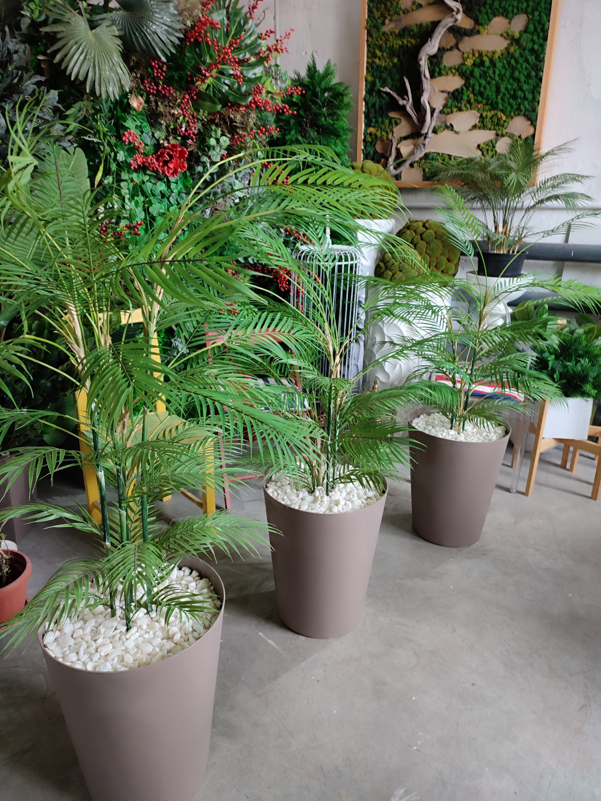 Растения для офисного пространства