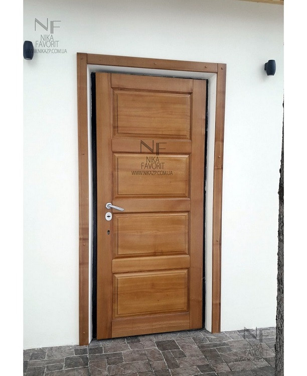 Steel door wooden finish