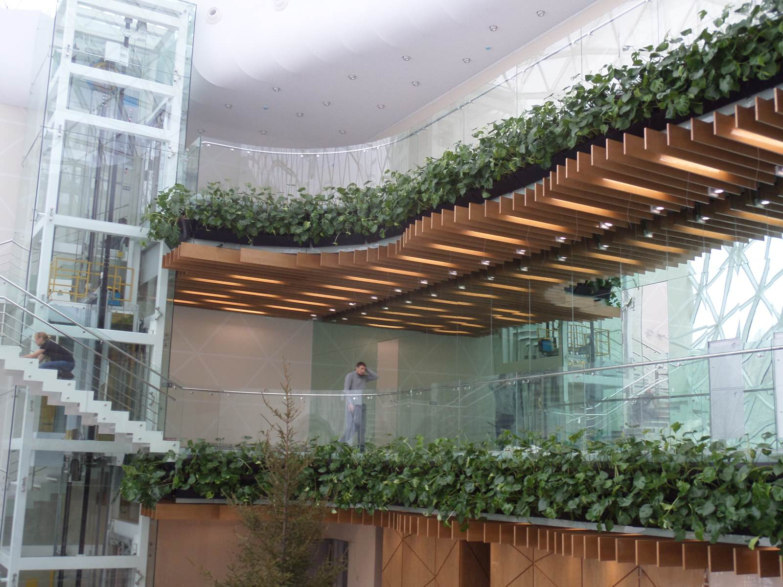 Зеленые стены