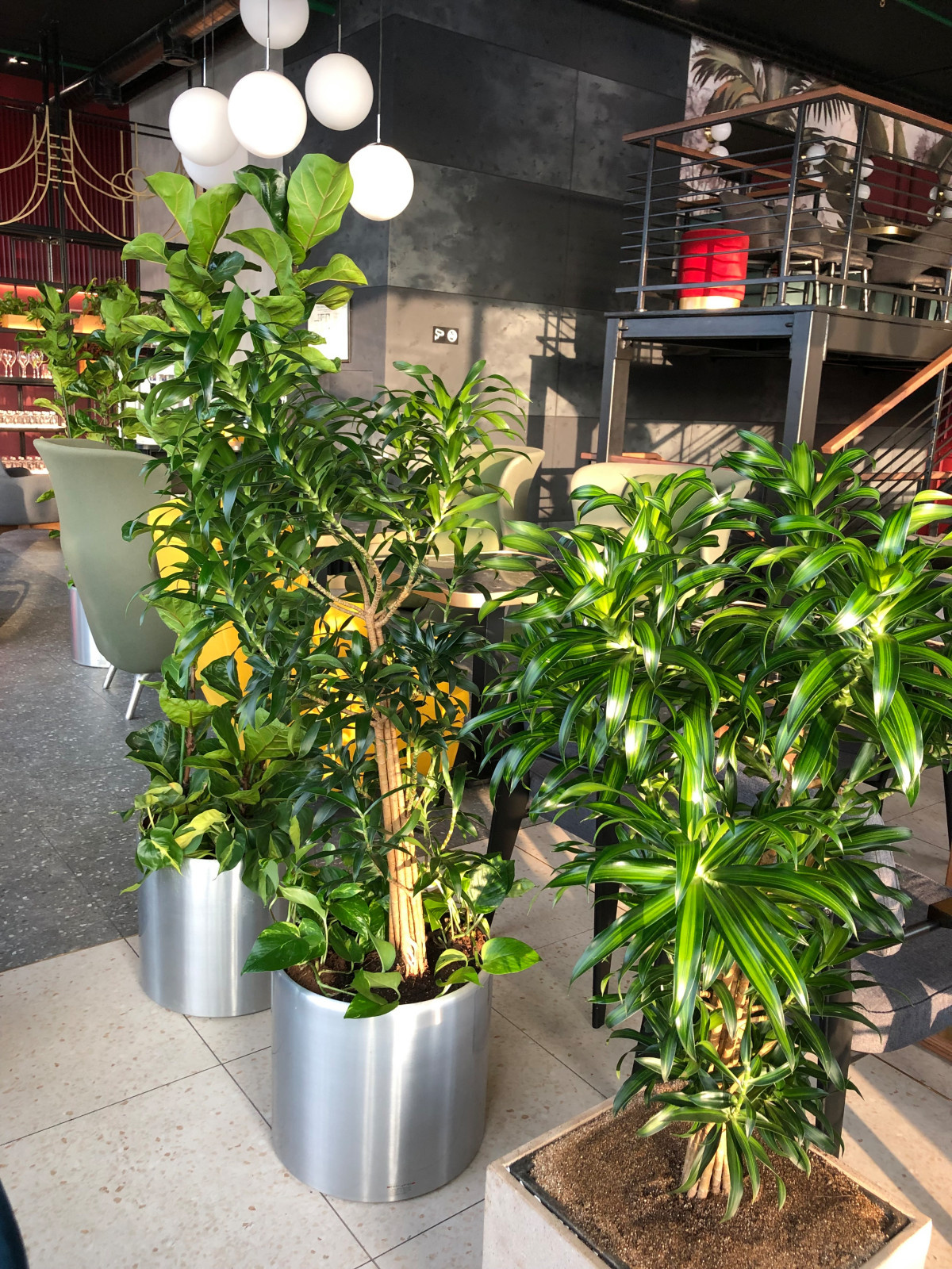 Зеленые стены