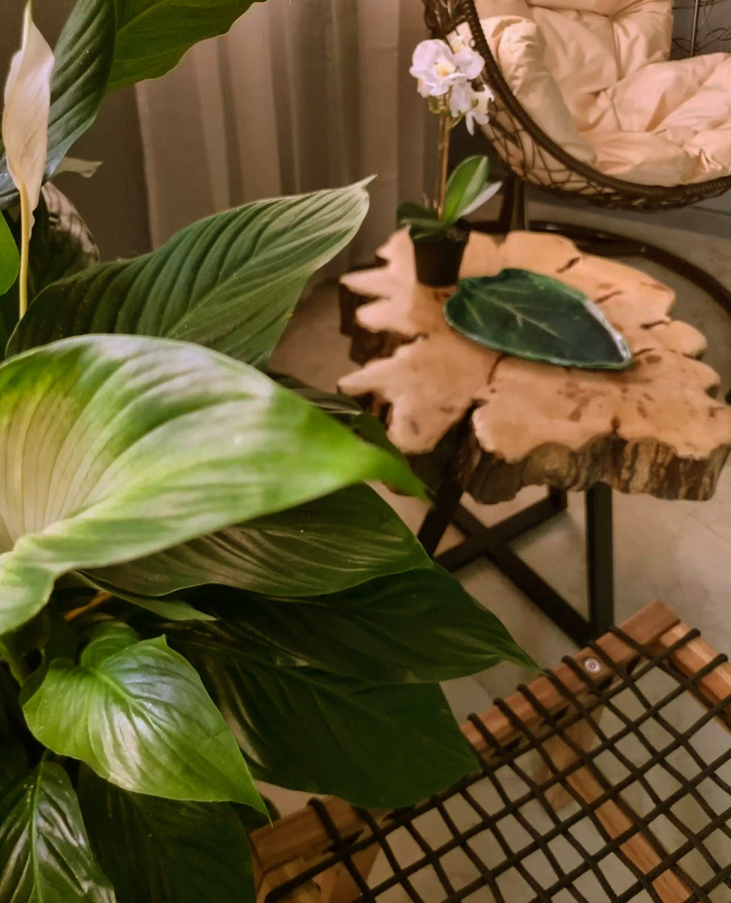 Дизайн интерьера массажного салона