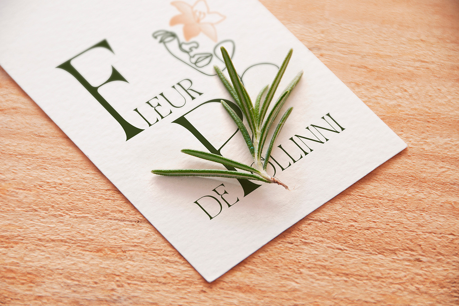 LOGO design