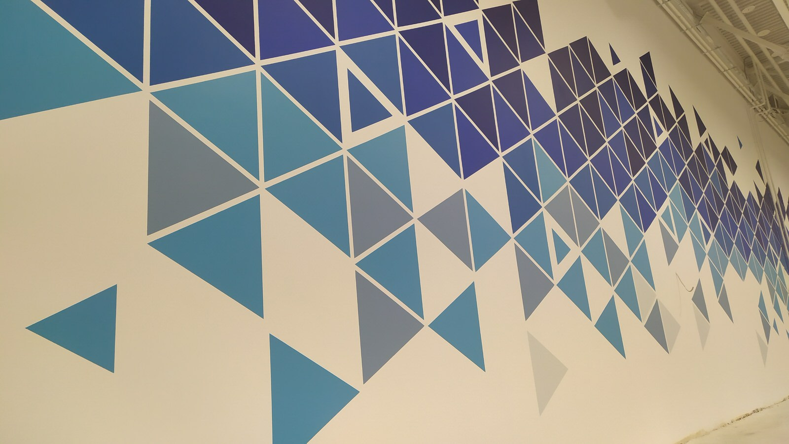 Спортзалы общества "Динамо"