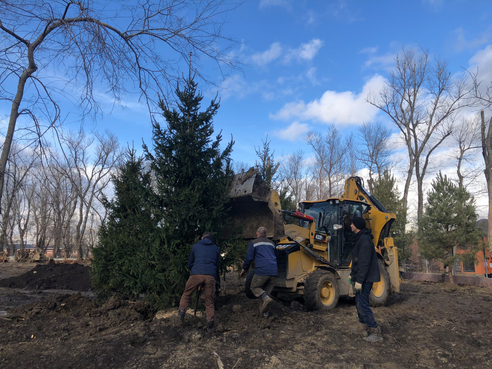 Первая посадка крупномеров