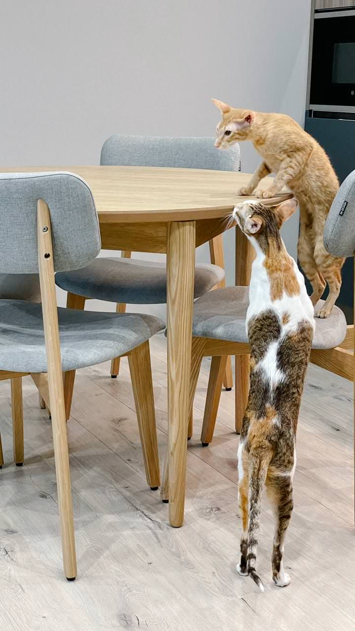 ЖК Саларьево Парк