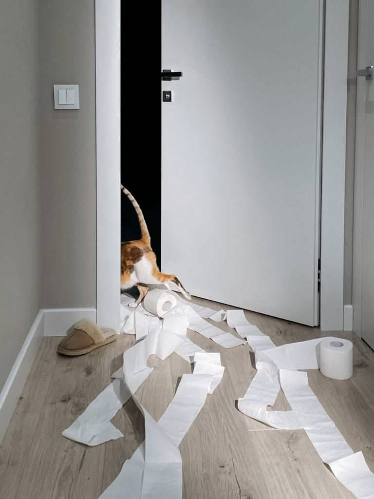 ЖК Саларьево Парк