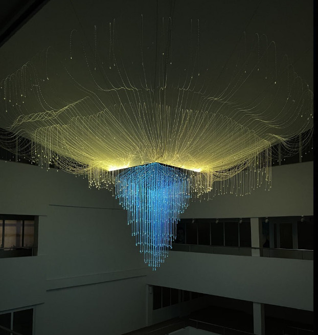 Проект "ПираМедуза"