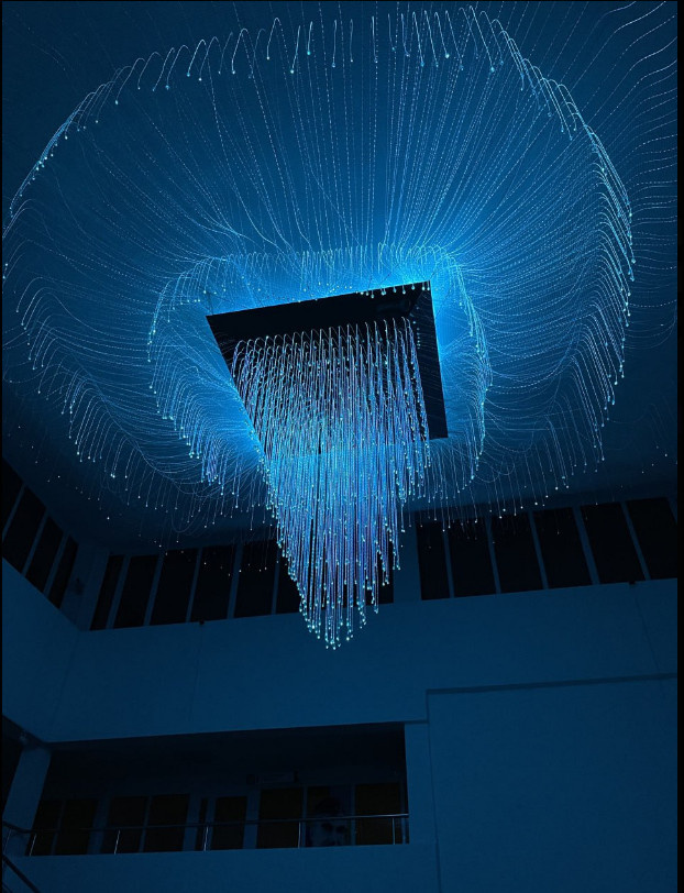 Проект "ПираМедуза"