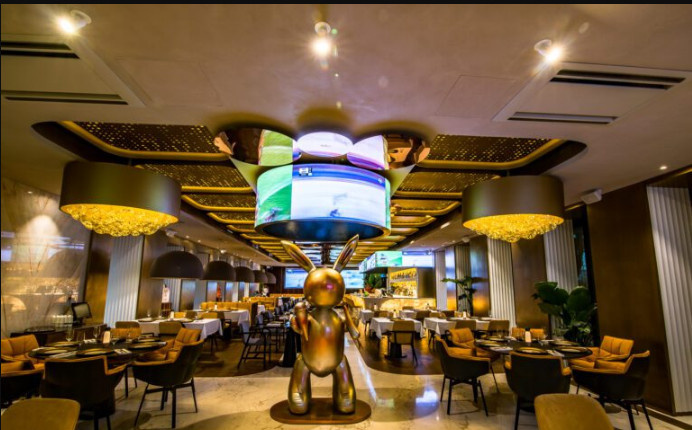 Обложка проекта: Проект BIBIREVO